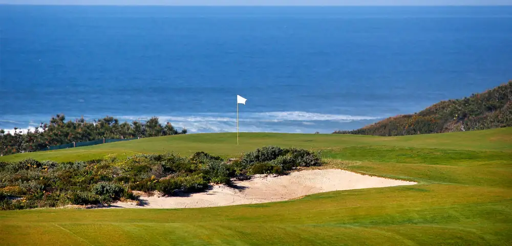 West Cliffs flag with the ocean behind