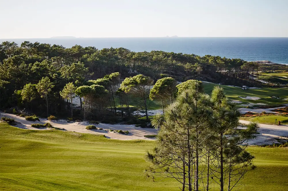 Pines, dunes and the Atlantic at West Cliffs