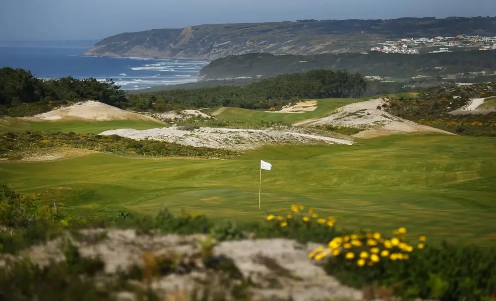 West Cliffs green with the coast behind