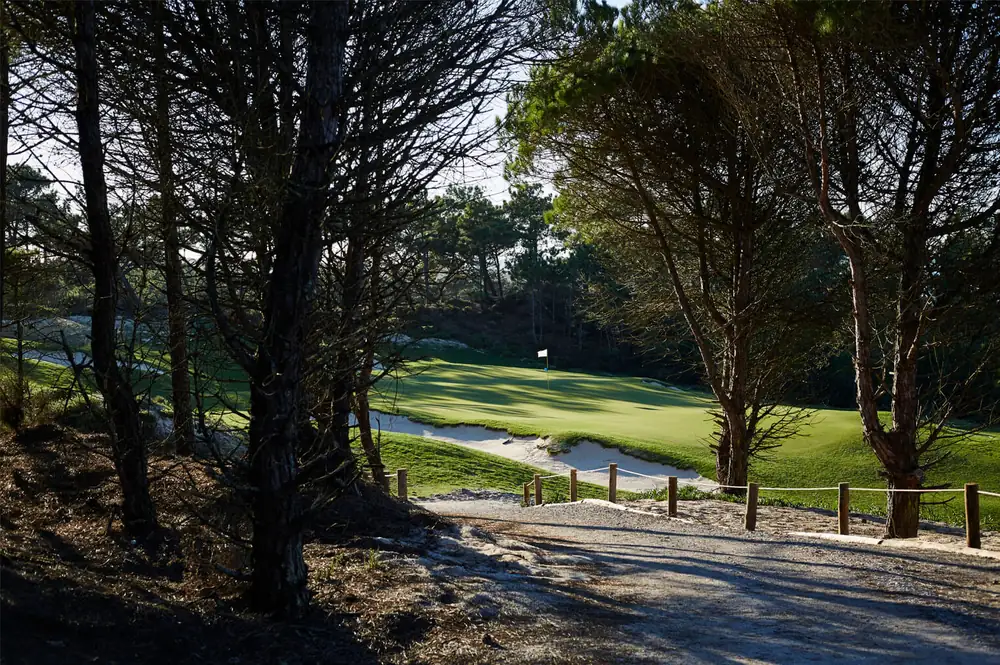 West Cliffs green among the pines